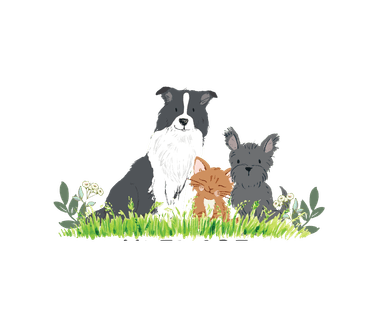Aviemore Pets Logo